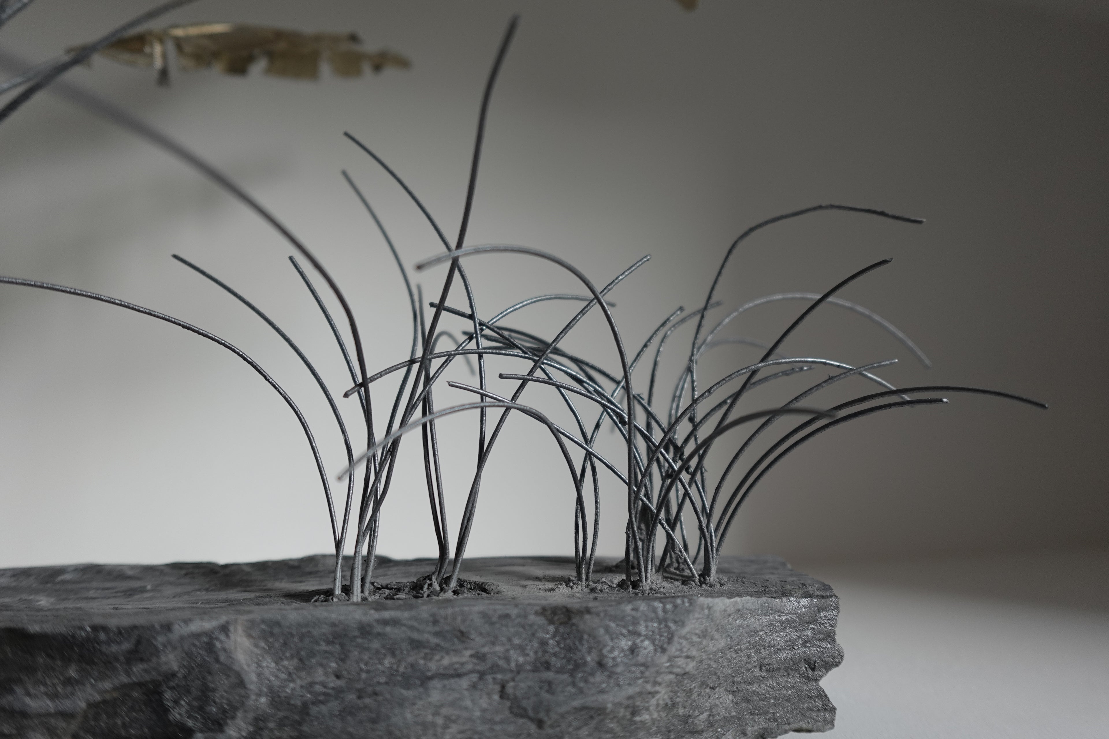 Le Bananier et ses Herbes Folles