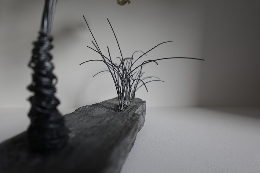 Le Bananier et ses Herbes Folles