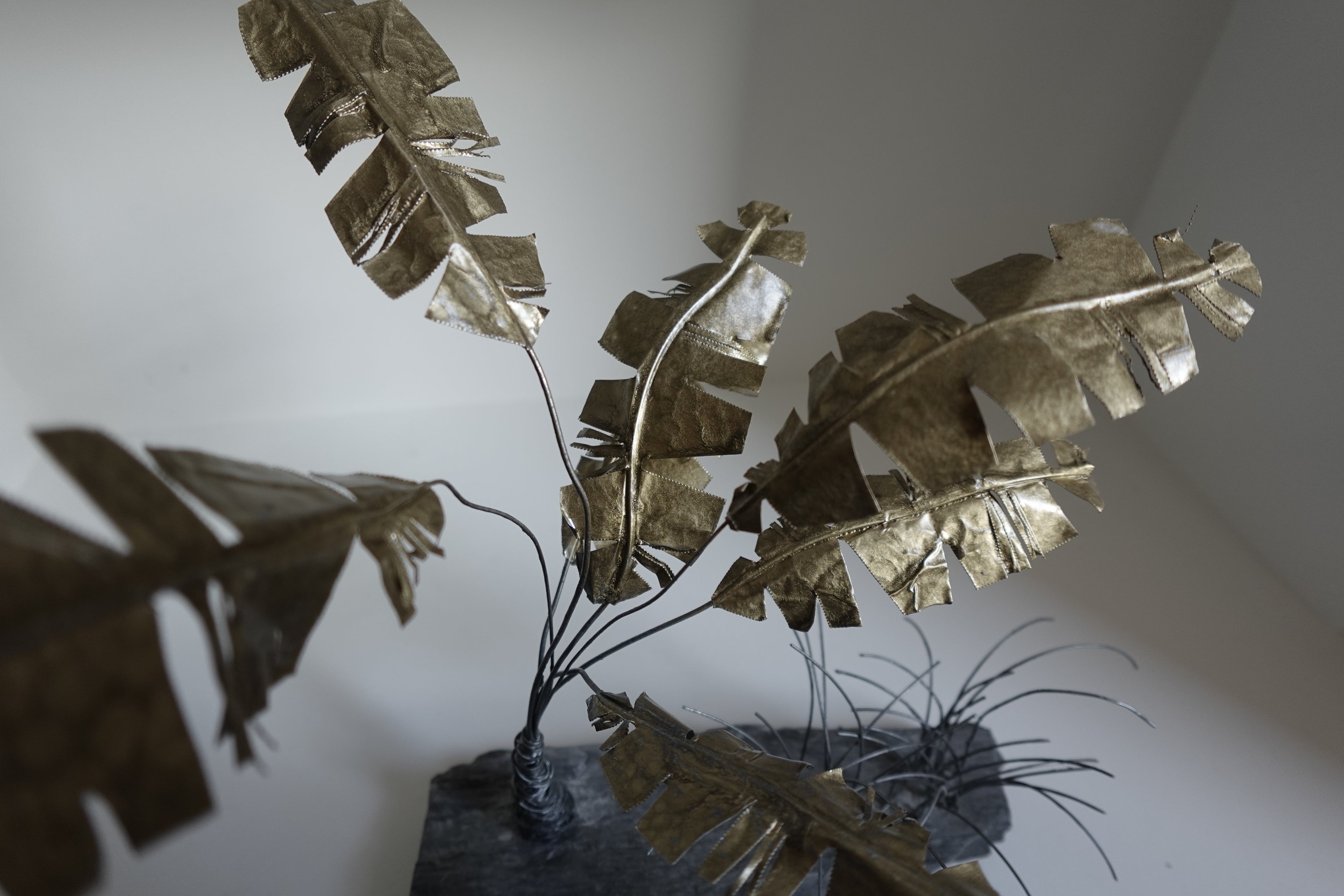 Le Bananier et ses Herbes Folles