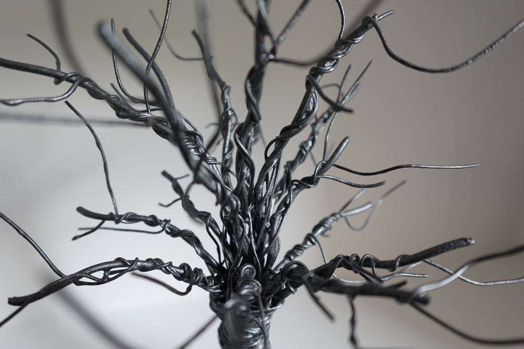 L’Arbre et son Petit Banc de Bois