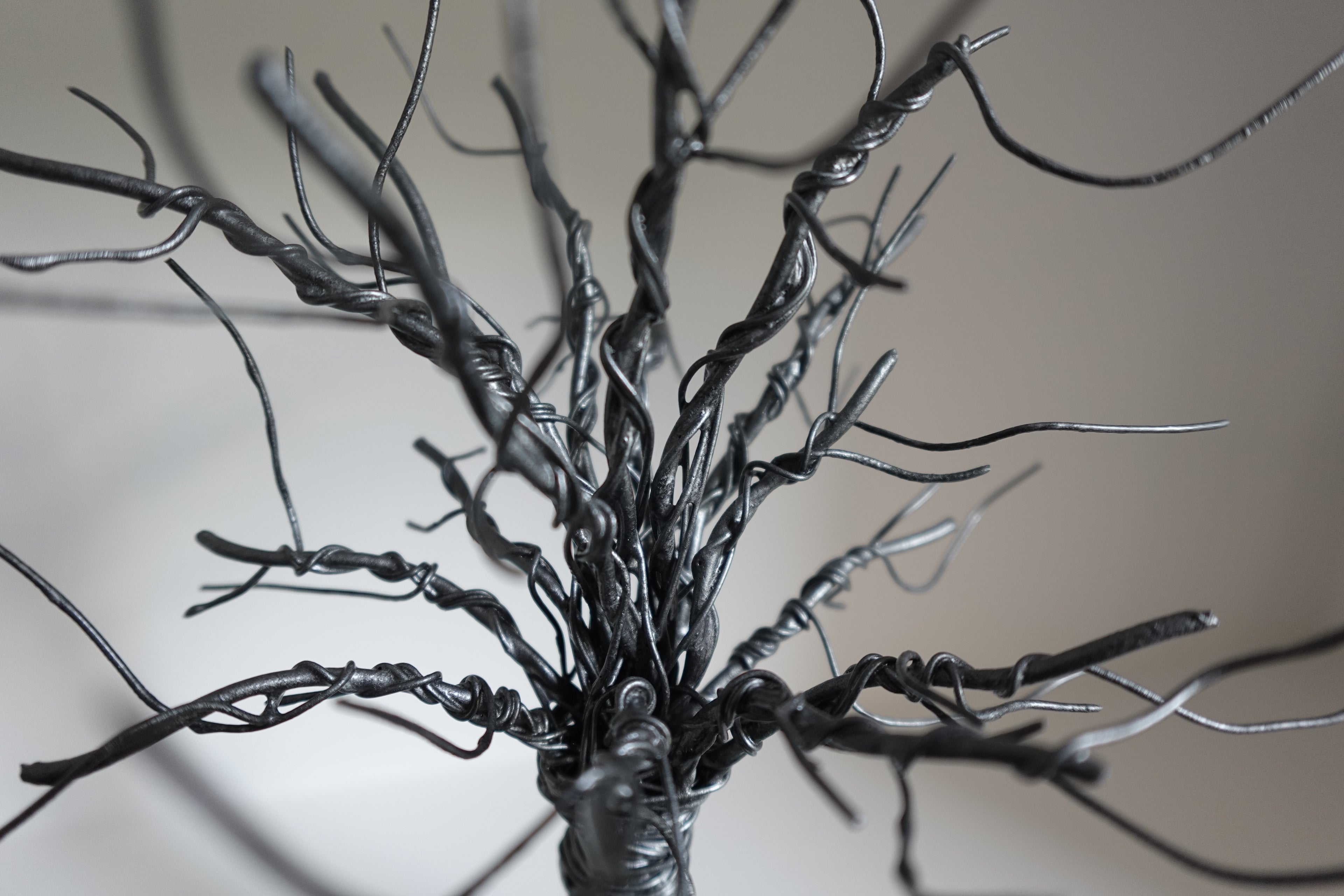 L’Arbre et son Petit Banc de Bois