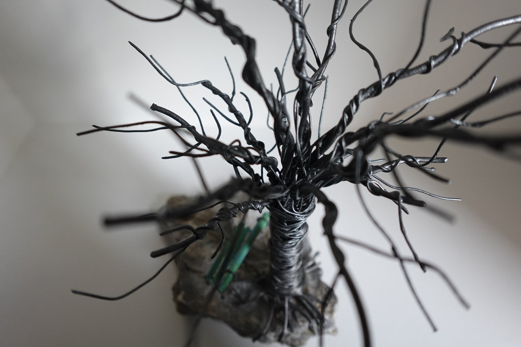 L’Arbre et son Petit Banc de Bois