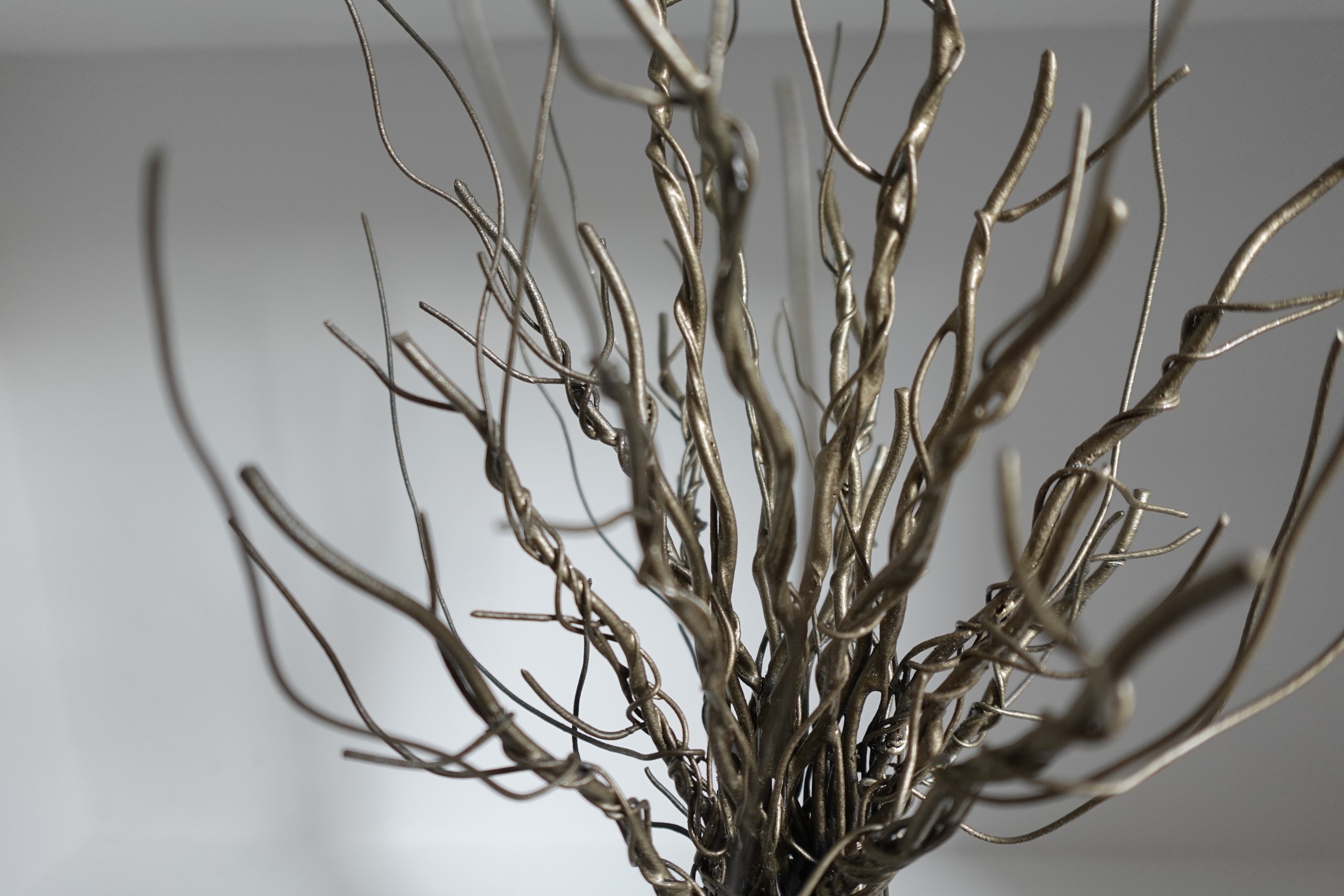 L’Arbre Doré et sa Chaise Longue