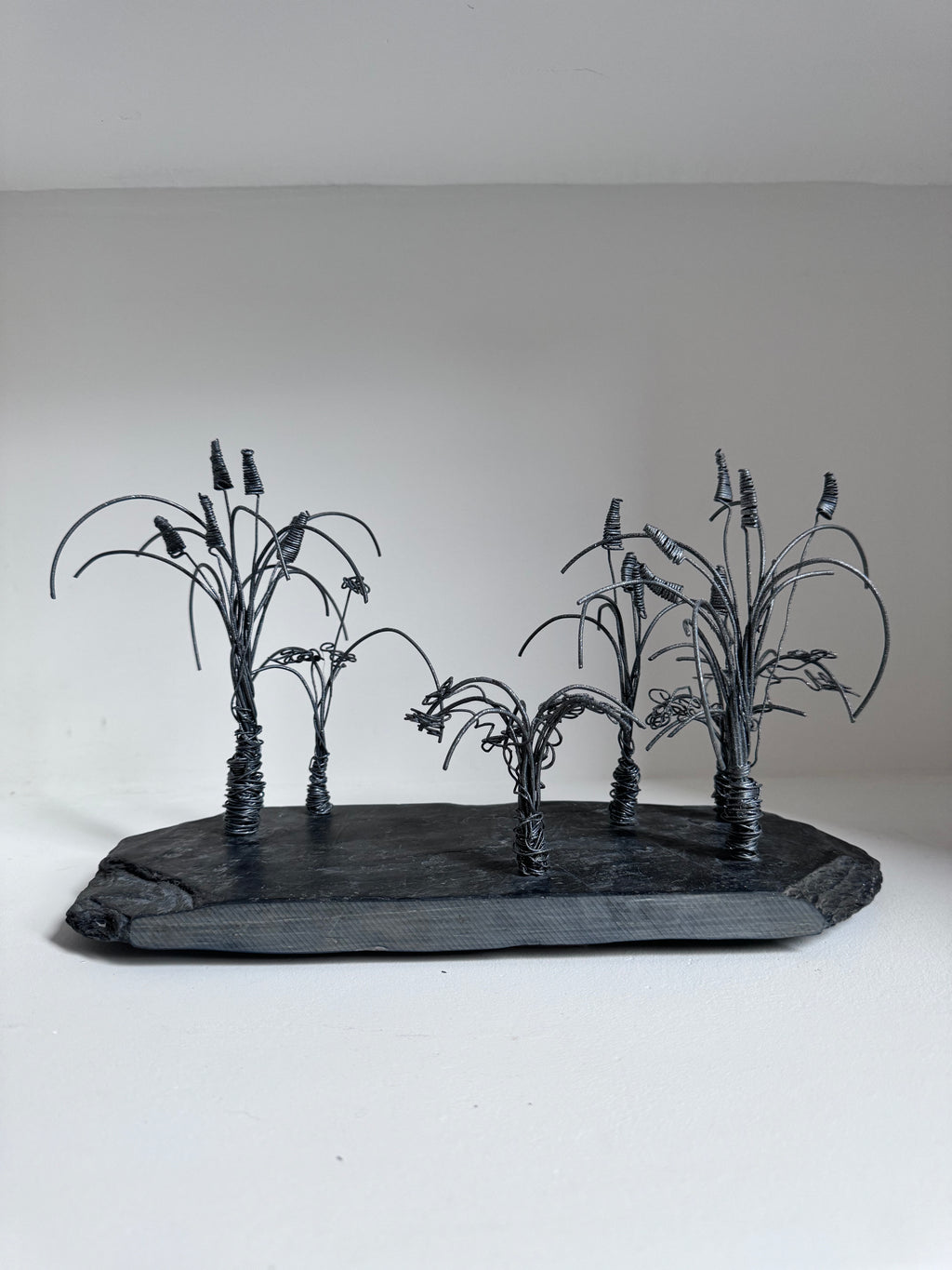 Les Joncs et ses Plantes Fleuries