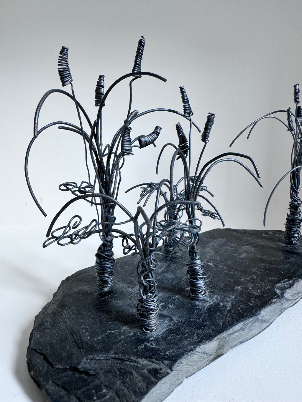 Les Joncs et ses Plantes Fleuries