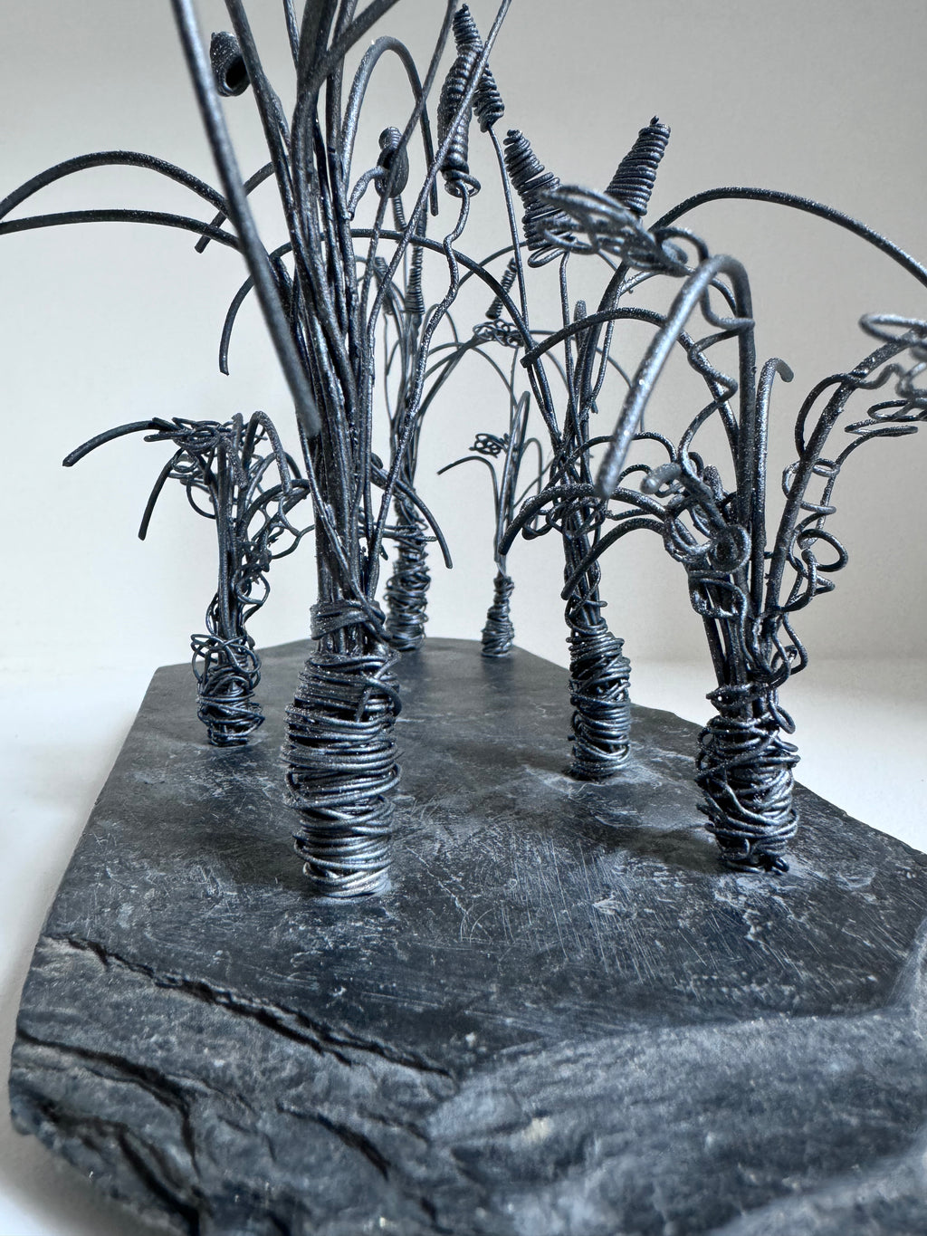 Les Joncs et ses Plantes Fleuries