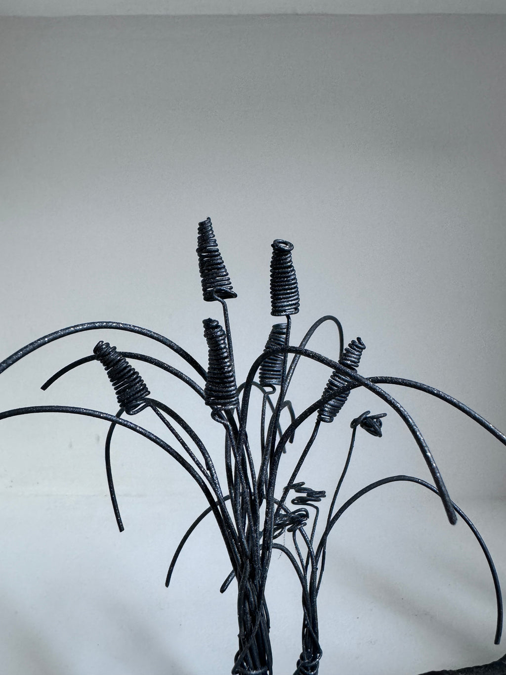 Les Joncs et ses Plantes Fleuries