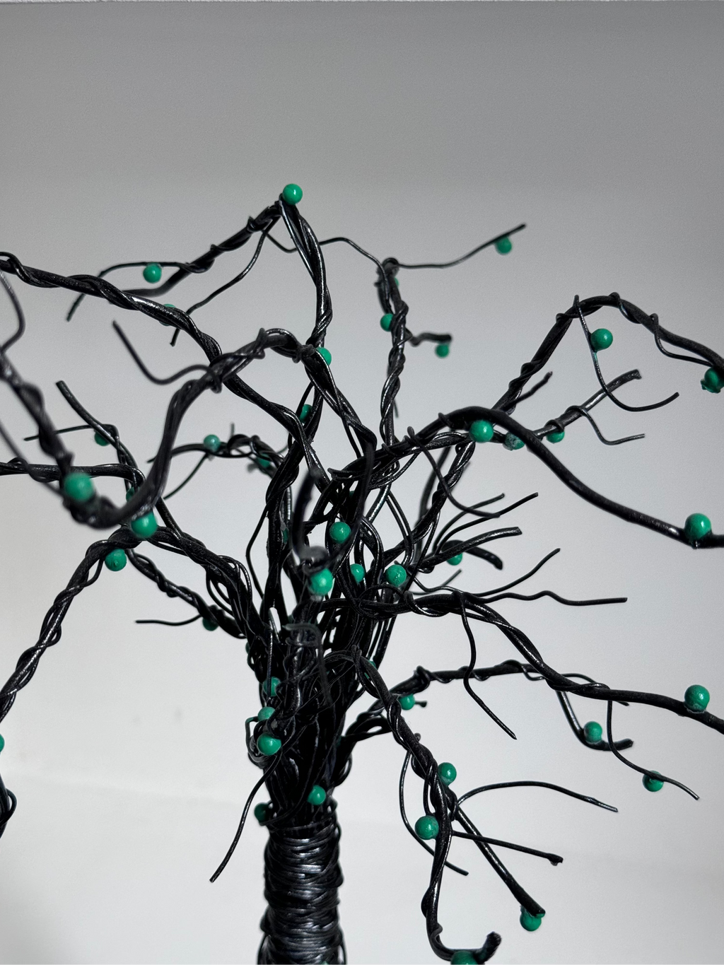 Le Pommier et son Échelle