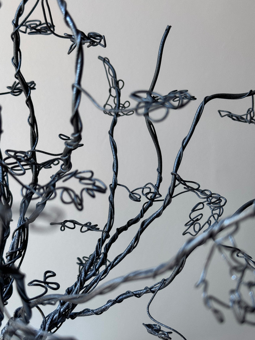 L’Arbre et son Petit Nid