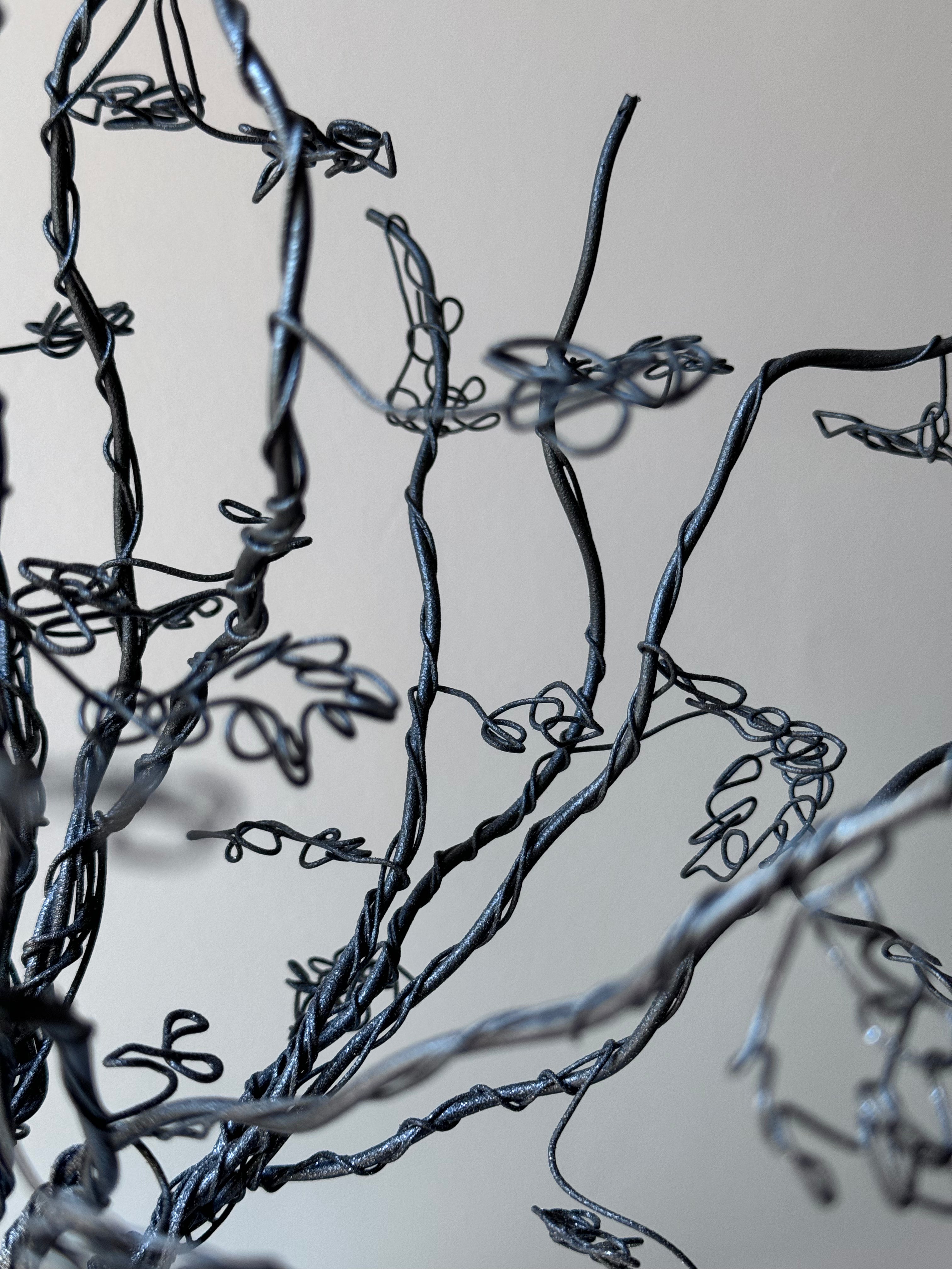 L’Arbre et son Petit Nid