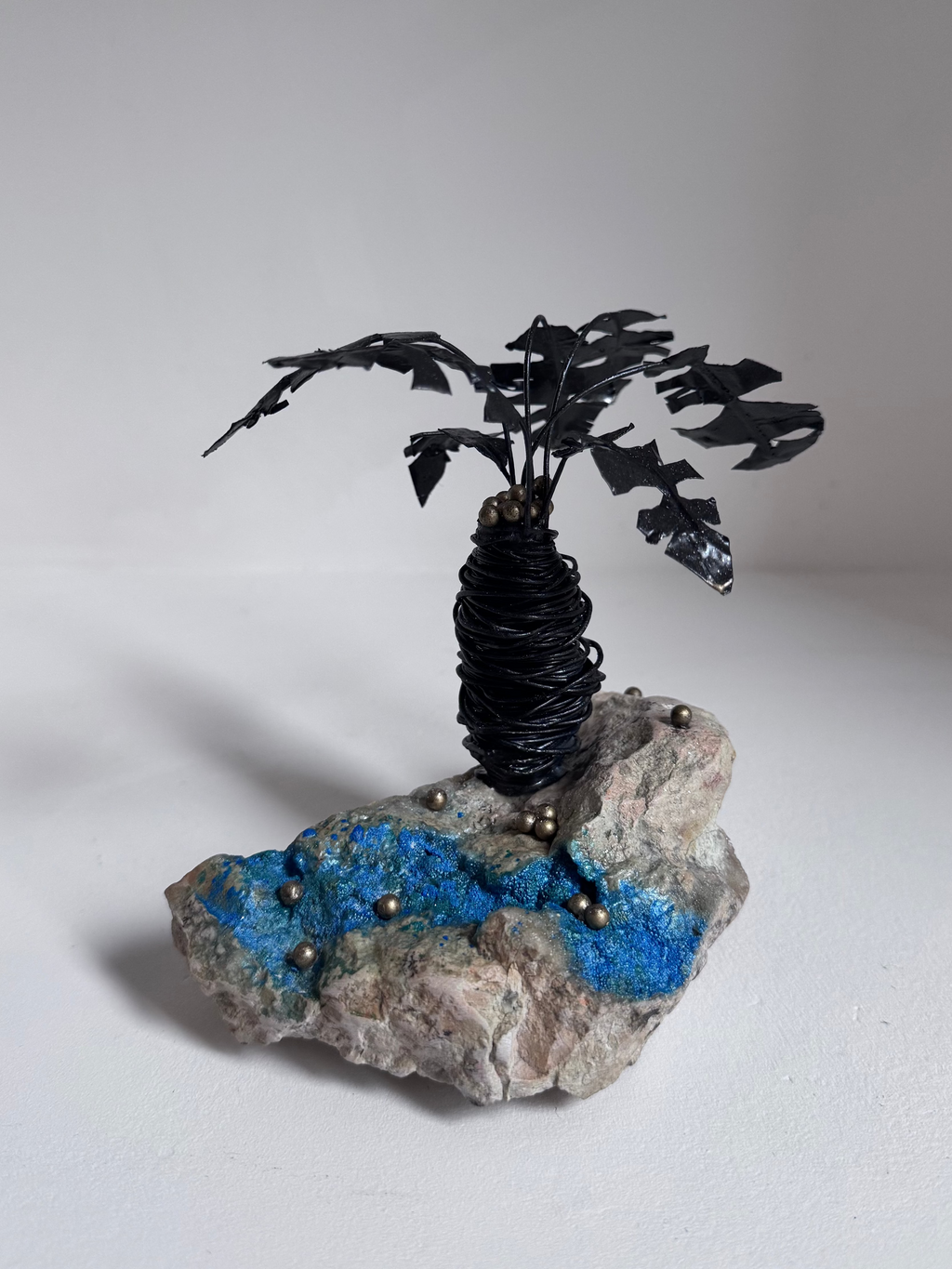 Le Petit Cocotier Noir et son Ruisseau