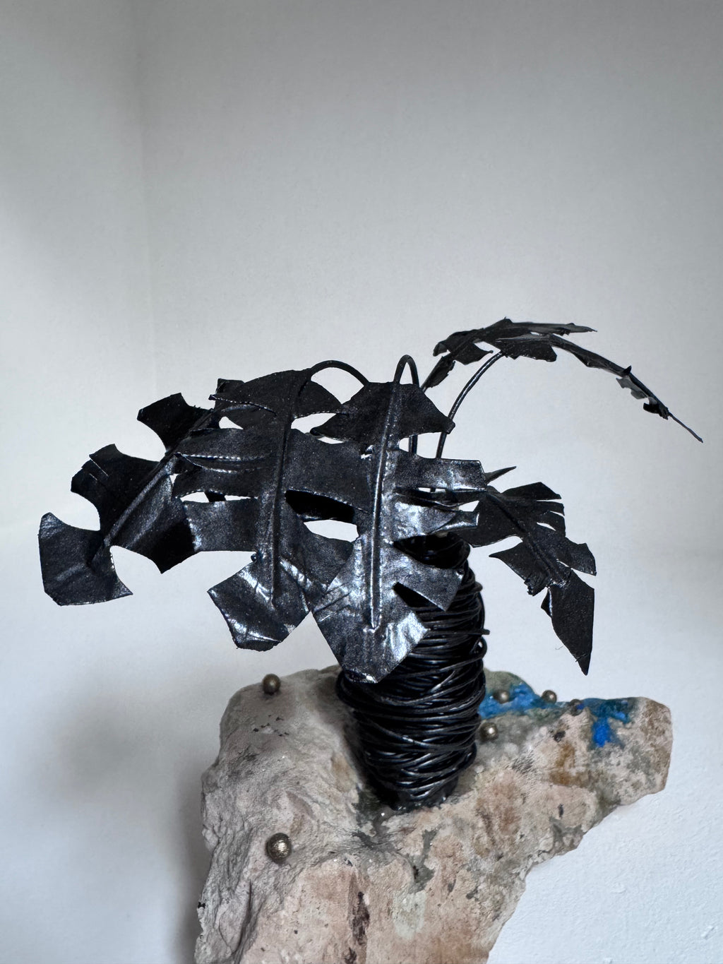 Le Petit Cocotier Noir et son Ruisseau