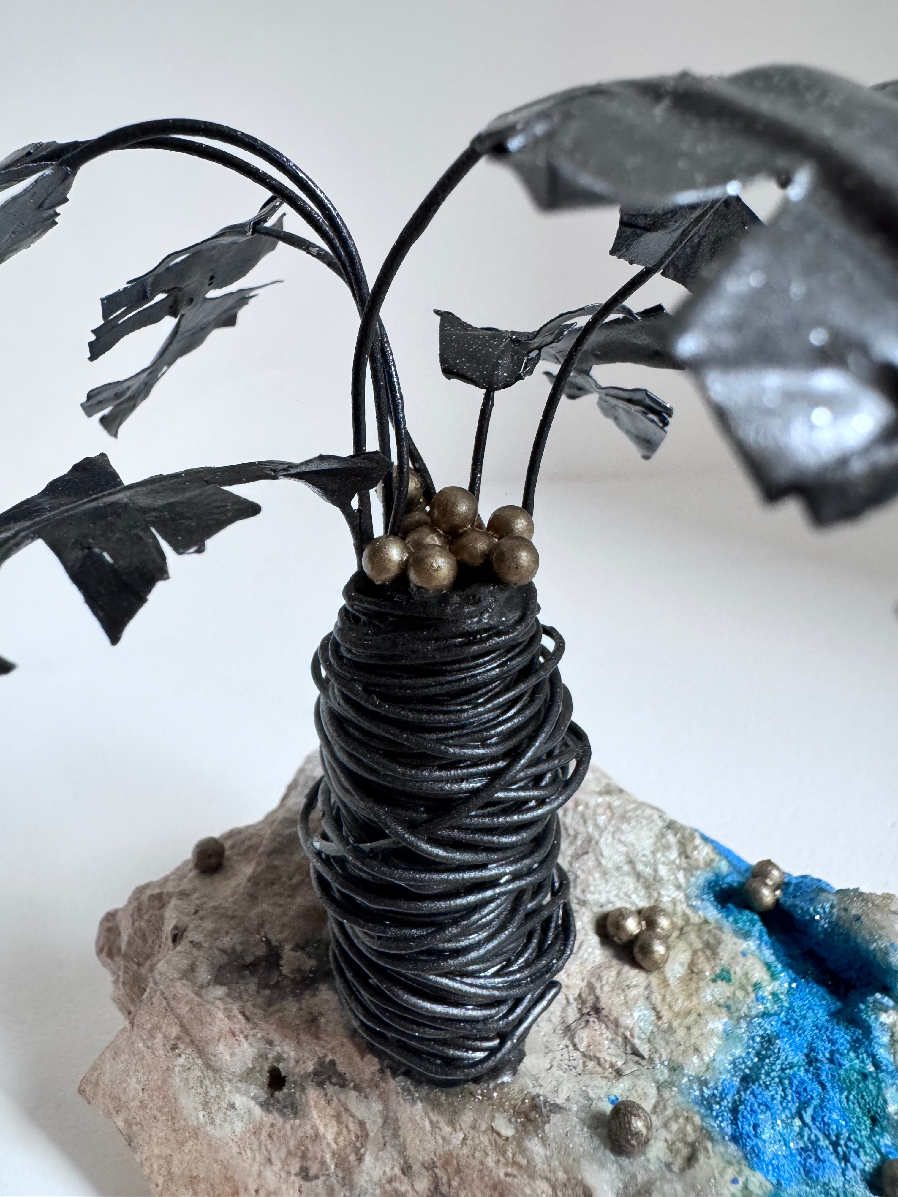 Le Petit Cocotier Noir et son Ruisseau