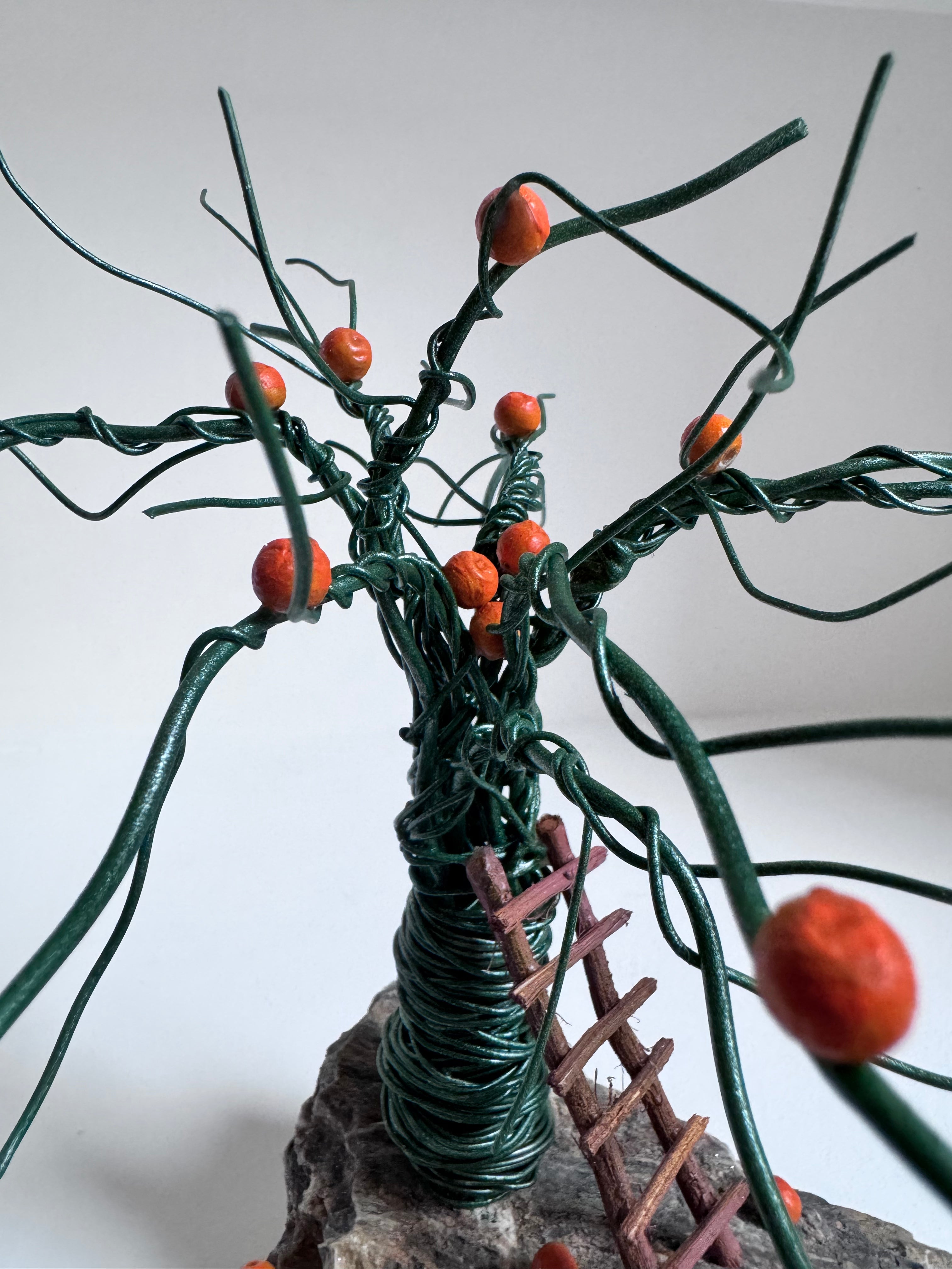 Le Petit Oranger Vert