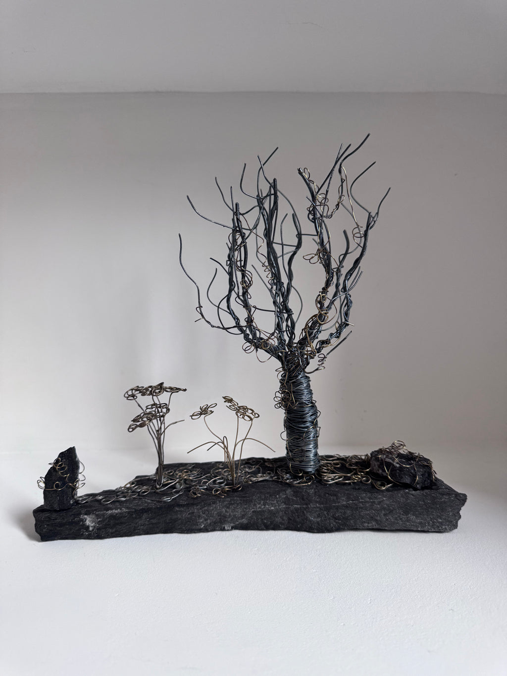 L’Arbre Enlacé de Lierre