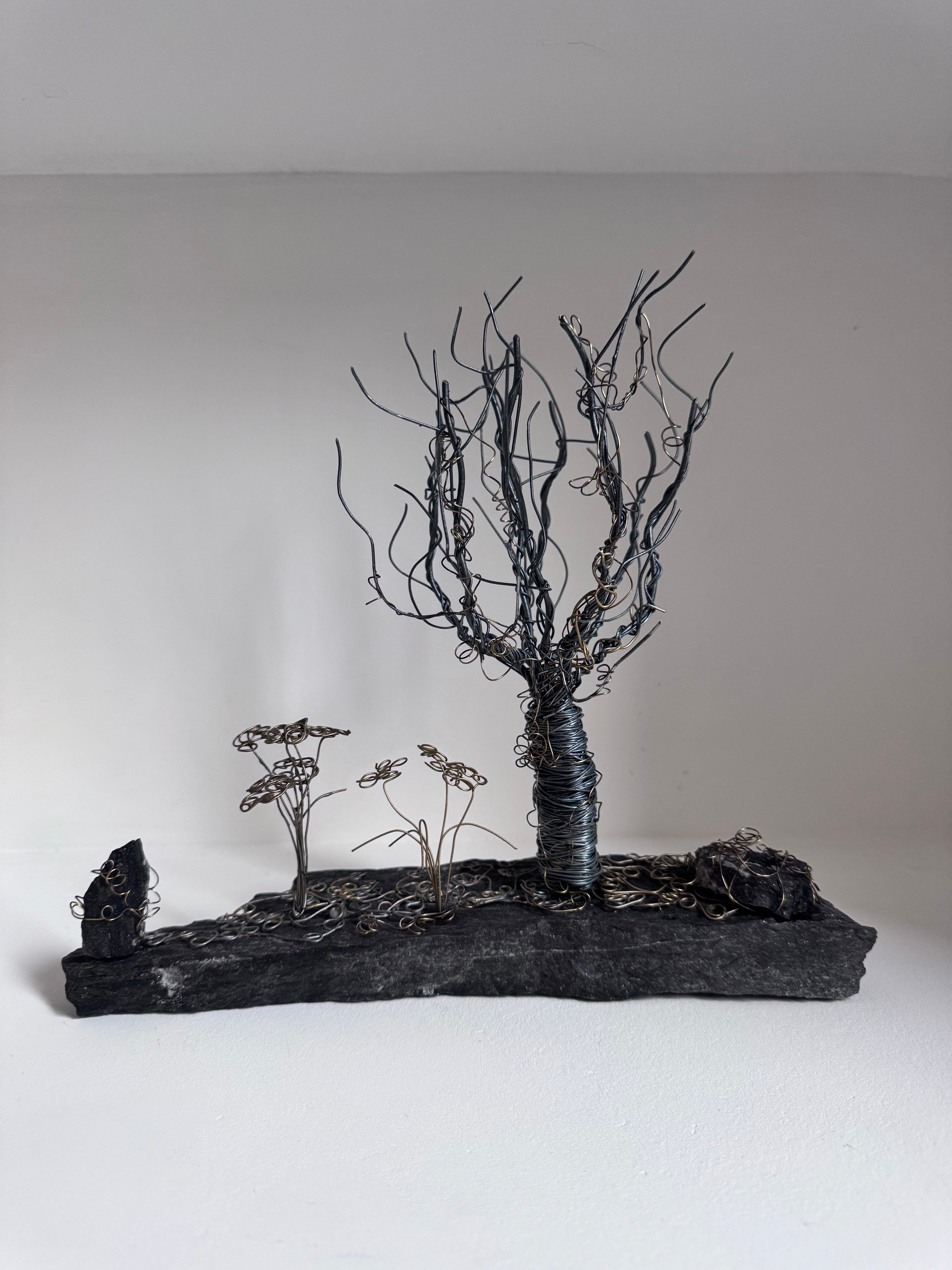 L’Arbre Enlacé de Lierre