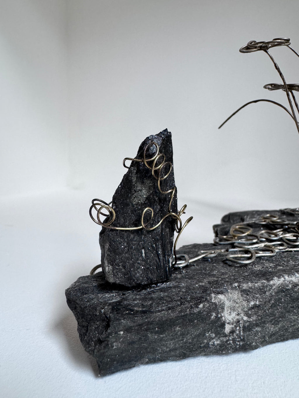 L’Arbre Enlacé de Lierre