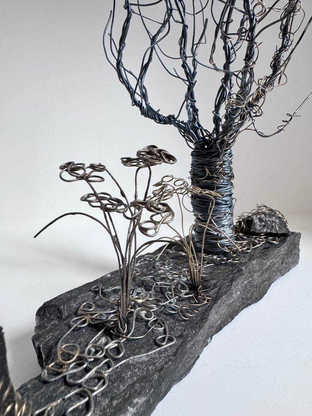 L’Arbre Enlacé de Lierre