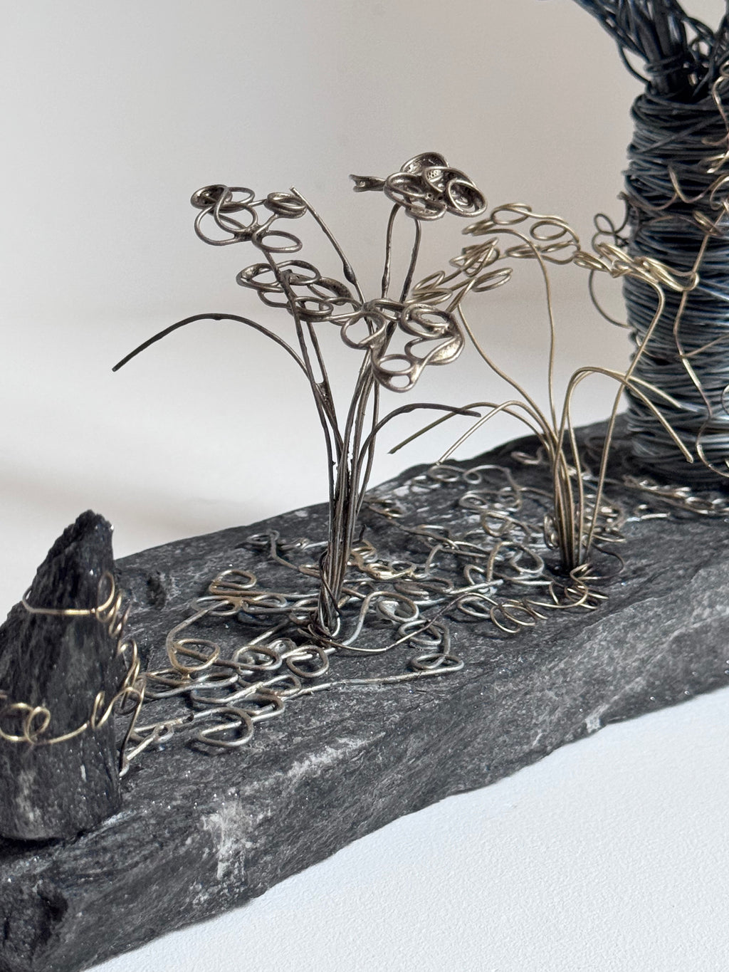 L’Arbre Enlacé de Lierre