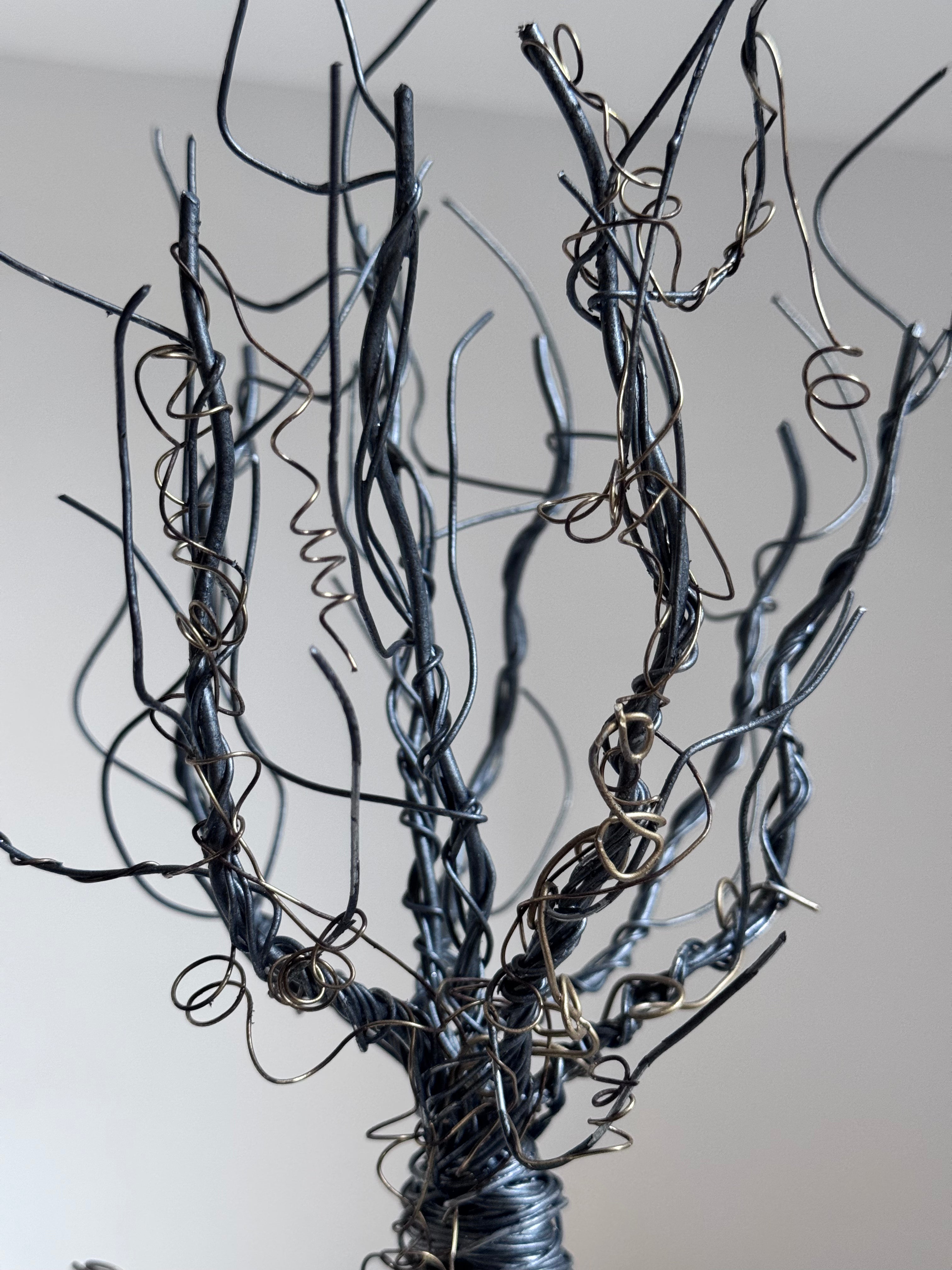 L’Arbre Enlacé de Lierre