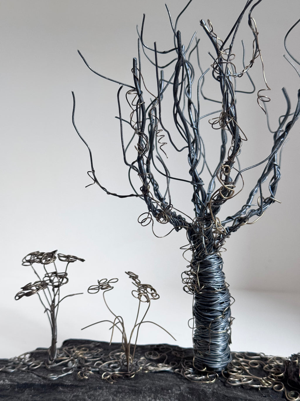 L’Arbre Enlacé de Lierre