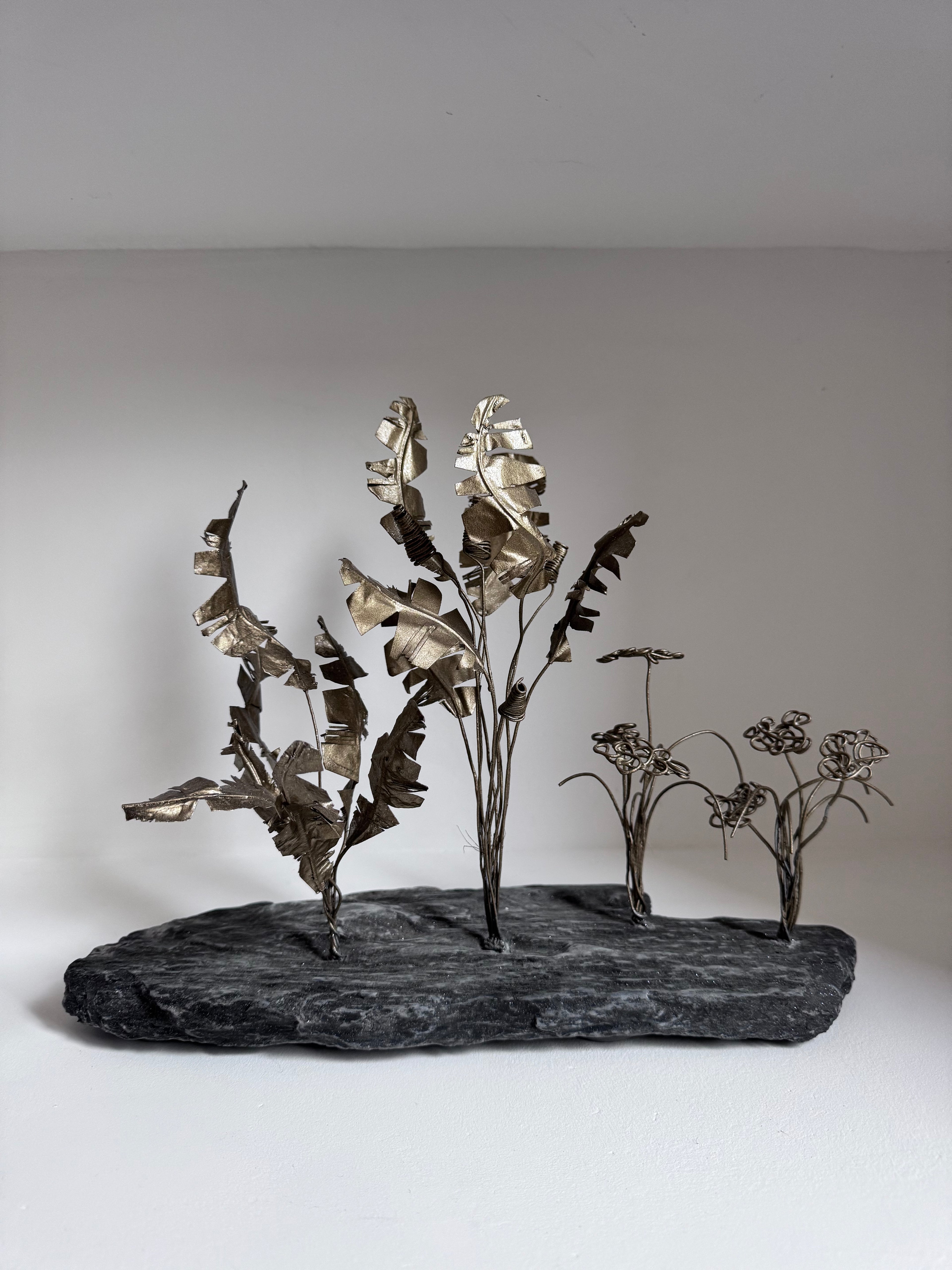 Les Plantes Exotiques