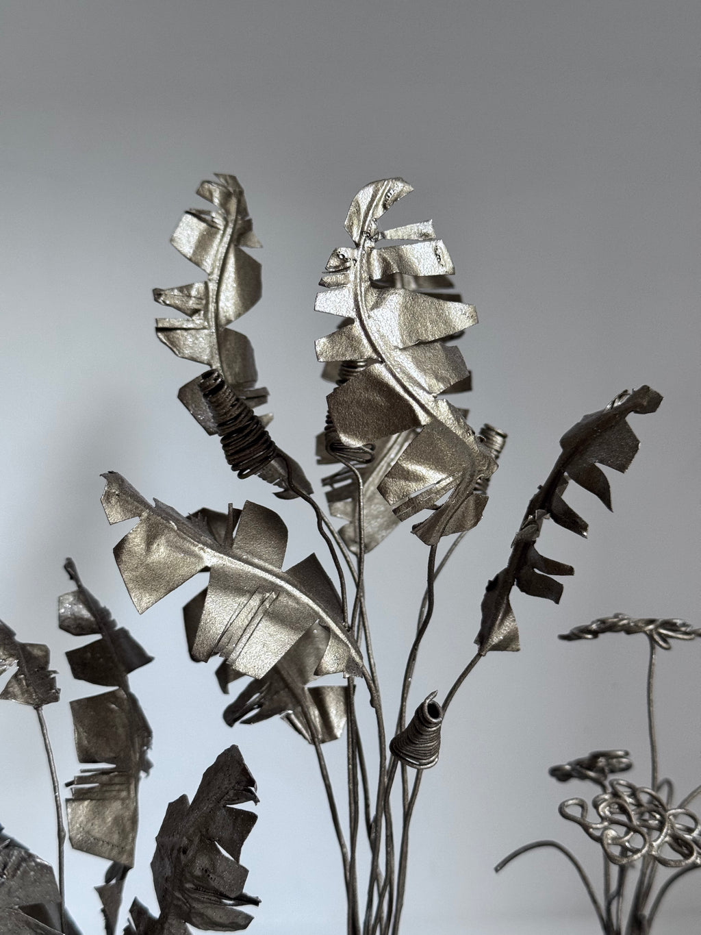 Les Plantes Exotiques