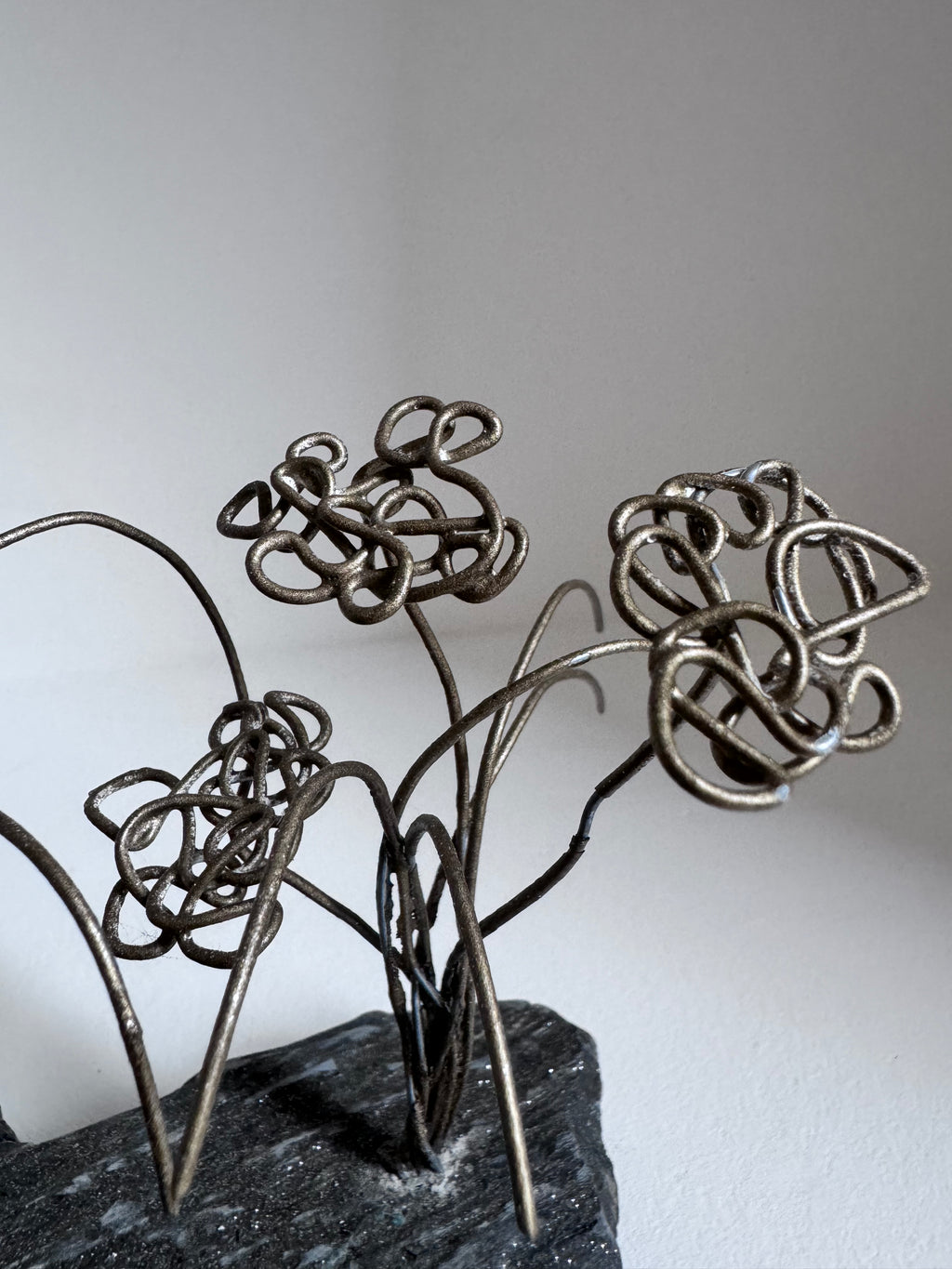 Les Plantes Exotiques